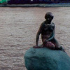 Little Mermaid