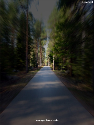 A bike trail nearby the university and my place...