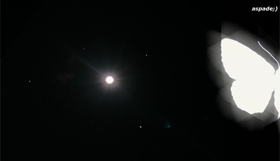 A moth and a star.