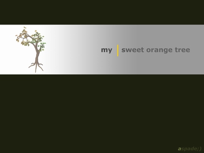 My sweet orange tree