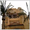 DisneyWeek2_012.jpg