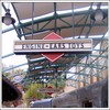 DisneyWeek2_055.jpg
