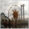 DisneyWeek2_059.jpg