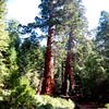 Oct06319.jpg