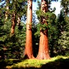 Oct06328.jpg