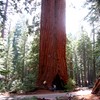 Oct06347.jpg