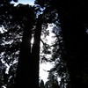 Oct06348.jpg