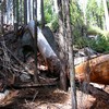 Oct06353.jpg