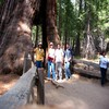 Oct06357.jpg