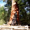 Oct06365.jpg