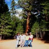 Oct06368.jpg