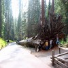 Oct06373.jpg